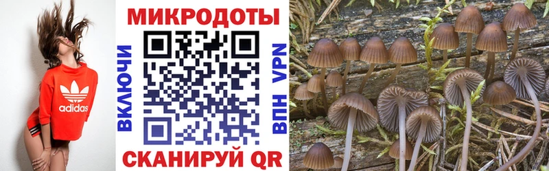 Псилоцибиновые грибы мухоморы  Балахна 
