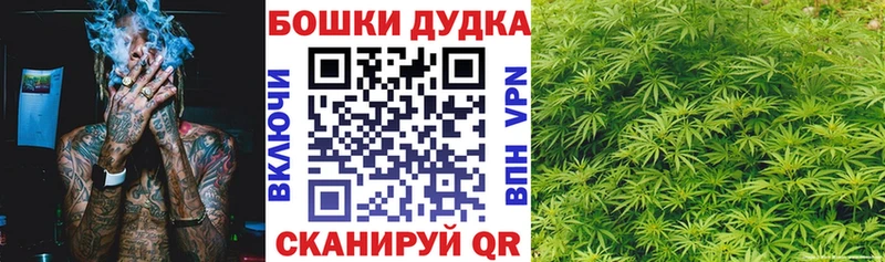 Шишки марихуана конопля МЕГА ССЫЛКА Балахна сколько стоит